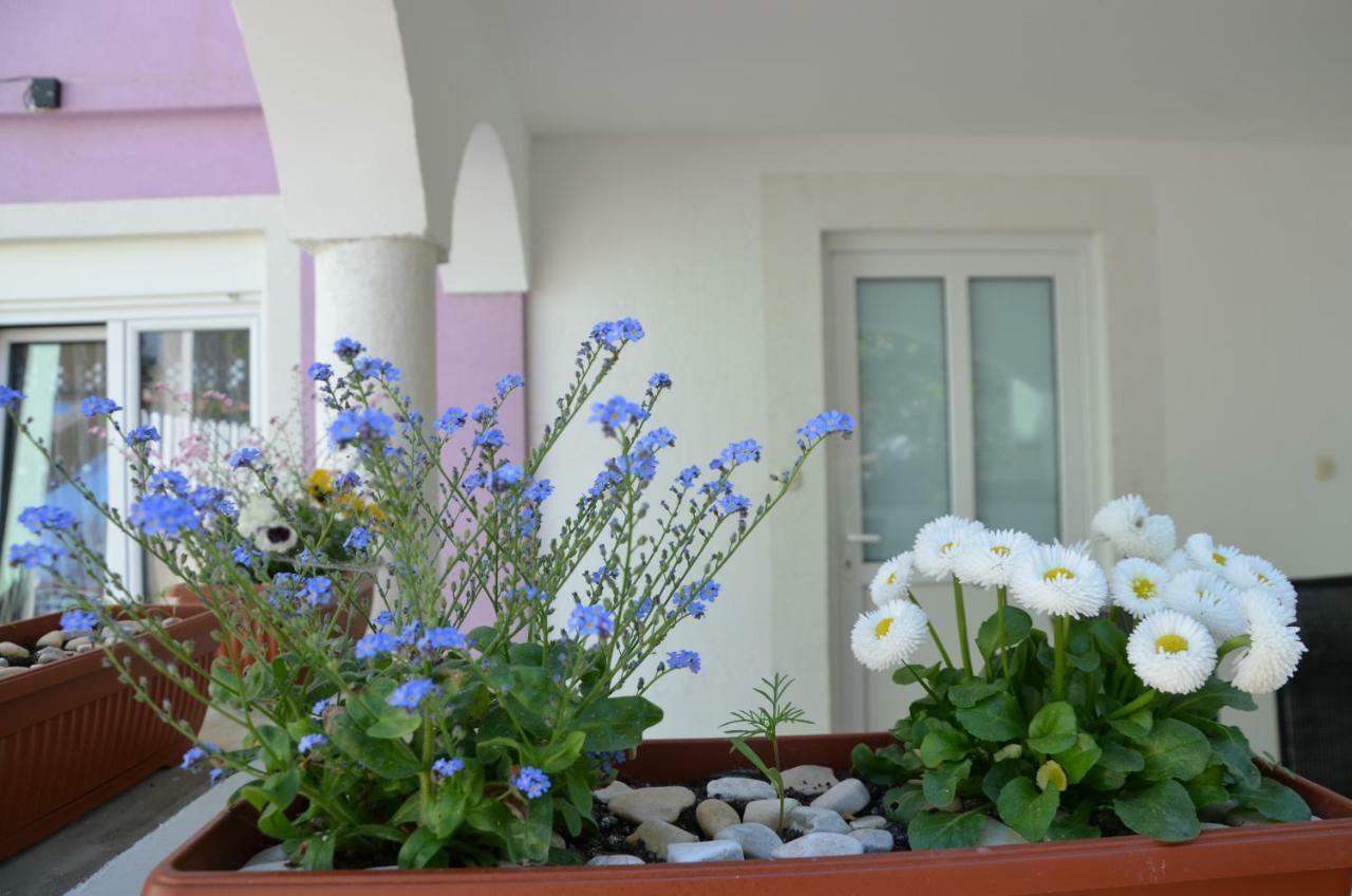 Ema & Sea Apartment'S بولا المظهر الخارجي الصورة